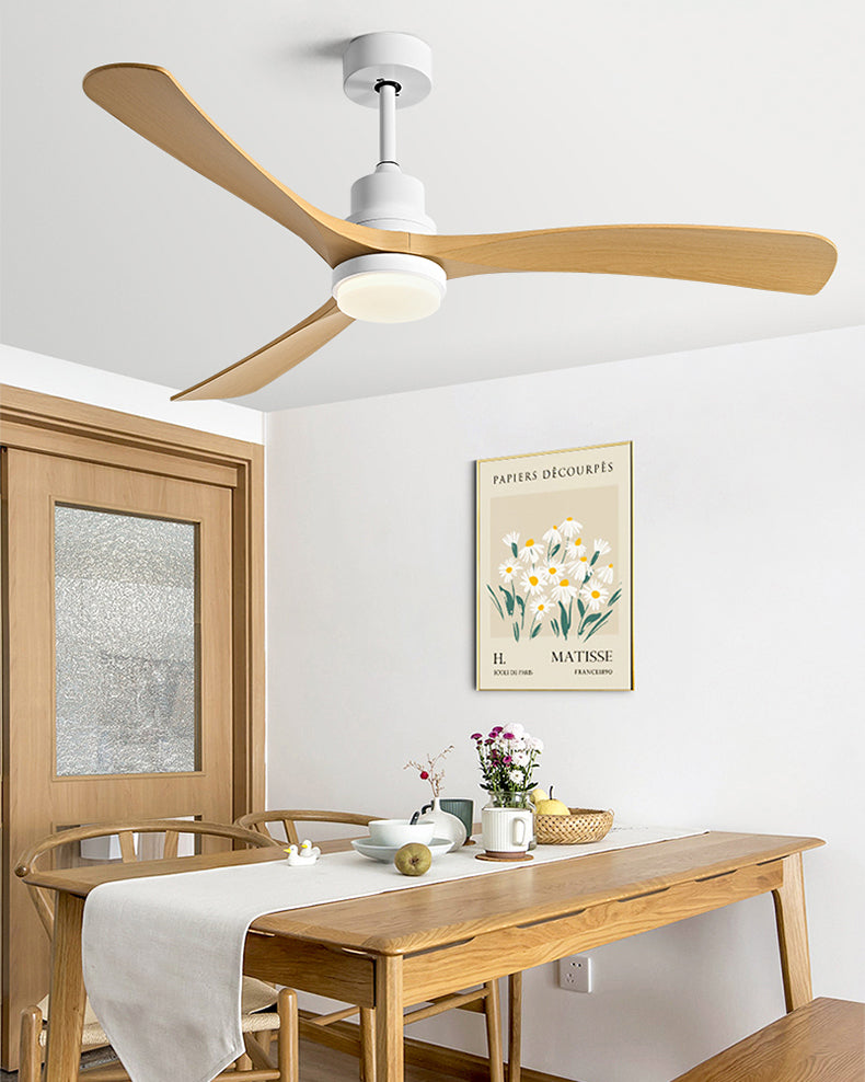 WOMO 56 Inch Ceiling Fan Lamp - WM5233