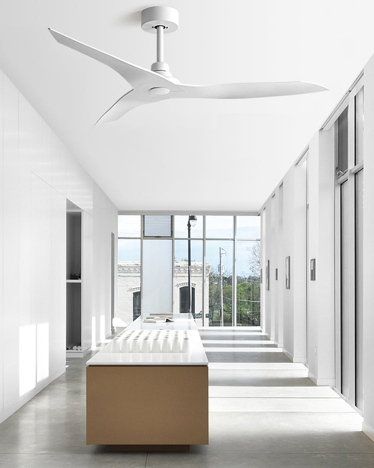 WOMO 3 Blade Modern Ceiling Fan - WM5248