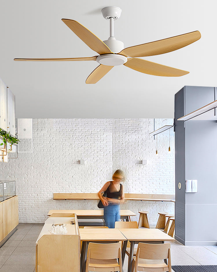 WOMO 5 Blade Low Profile Ceiling Fan - WM5255