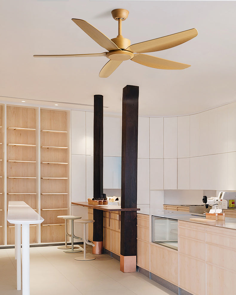 WOMO 5 Blade Low Profile Ceiling Fan - WM5255