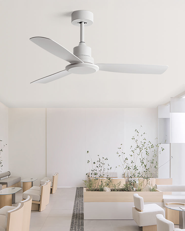 WOMO Modern Ceiling Fan - WM5260