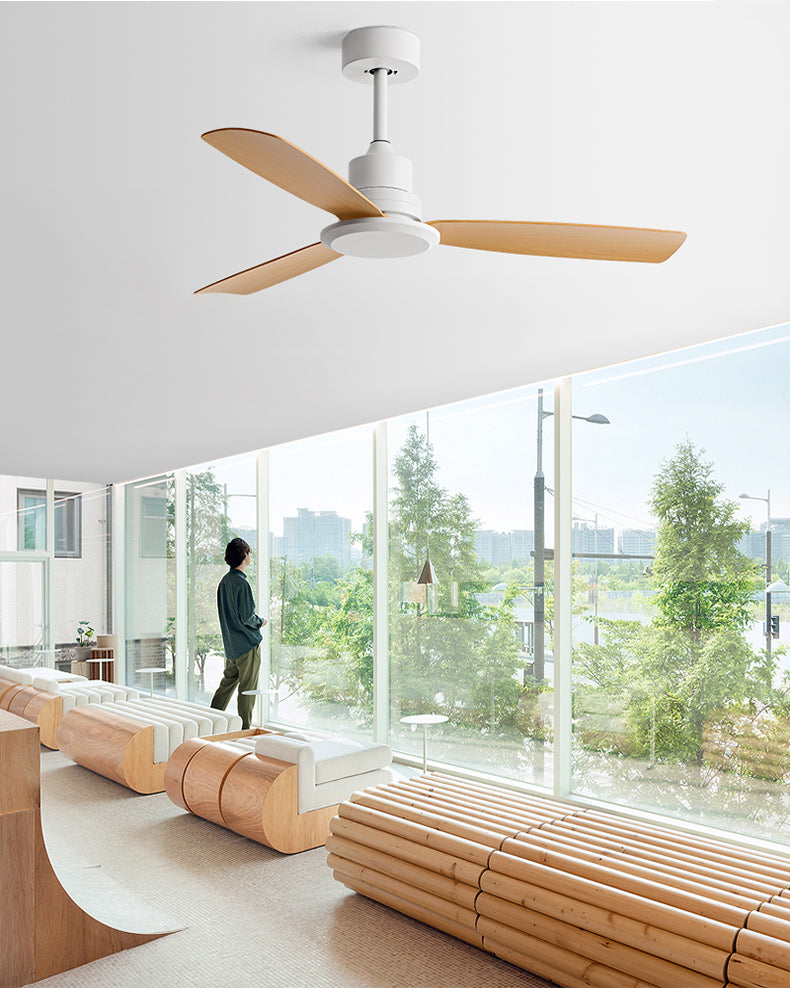 WOMO Modern Ceiling Fan - WM5260