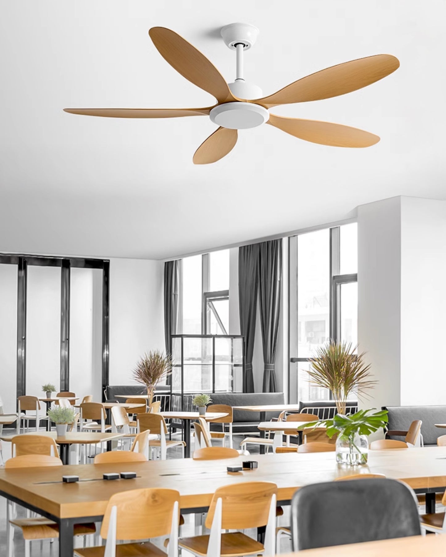 WOMO Modern Ceiling Fan - WM5260