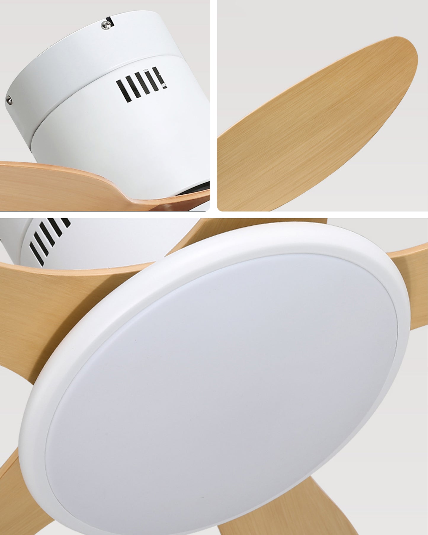 WOMO Modern Ceiling Fan Lamp - WM5267
