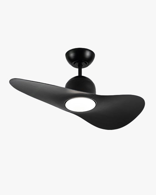 WOMO 2 Blade Unique Ceiling Fan Lamp - WM5270