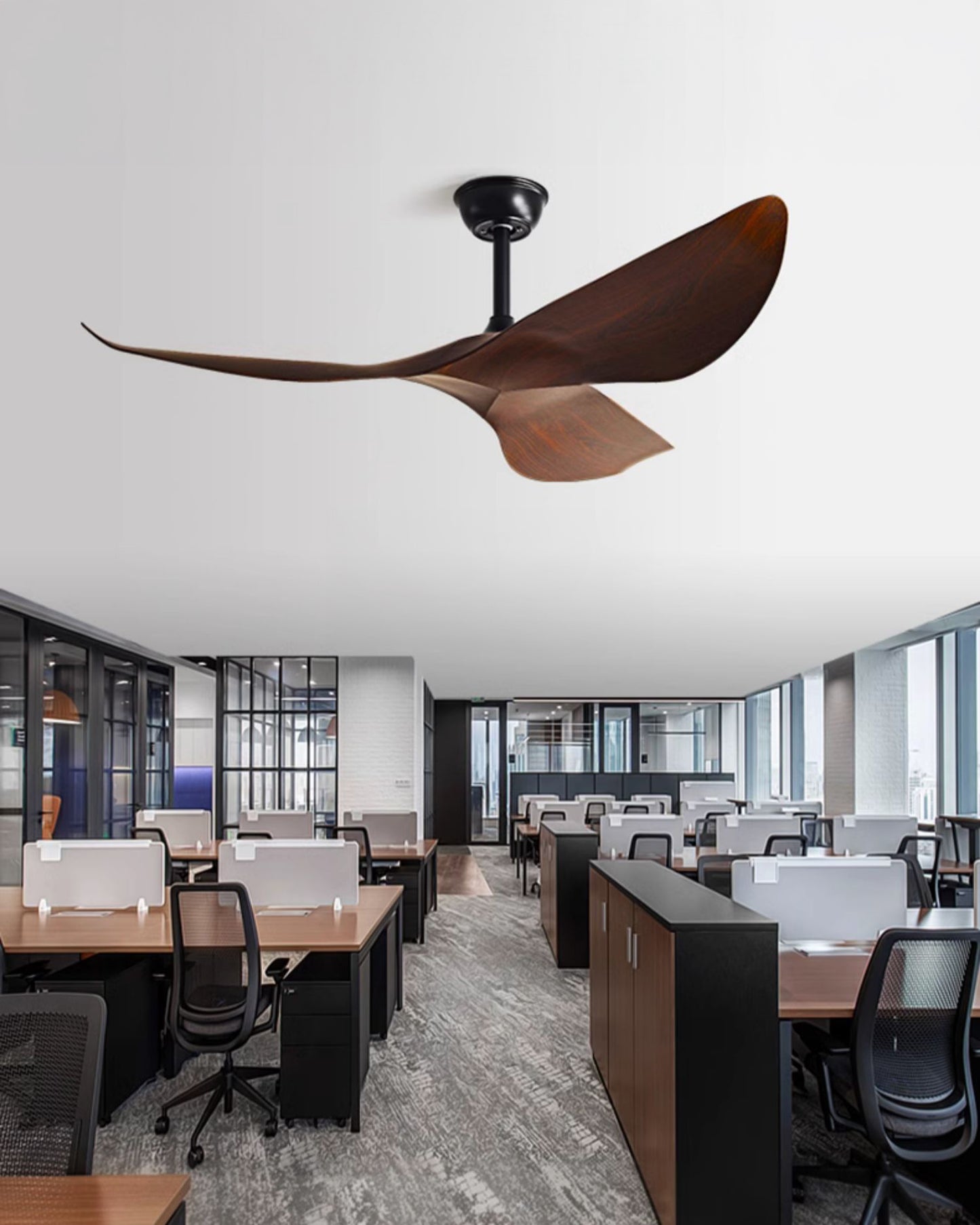 WOMO 3 Blade Ceiling Fan - WM5281