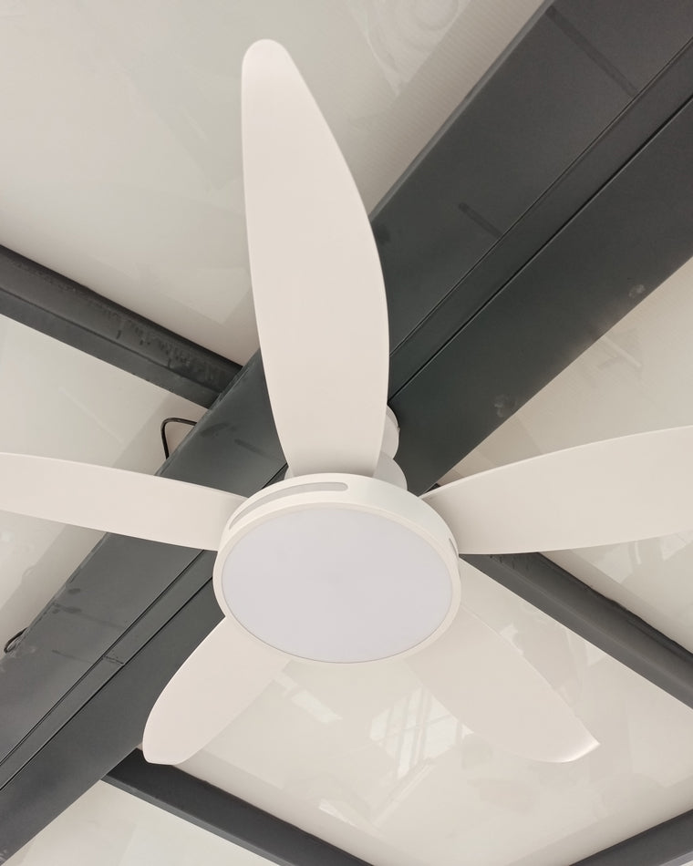 WOMO 5 Blade Contemporary Ceiling Fan Lamp-WM5000