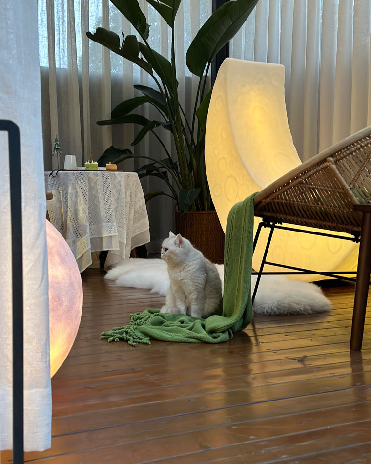 WOMO Crescent Moon Floor Lamp-WM7021