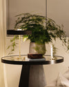 WOMO Mid-Century Runde Tischlampe mit Zugkette-WM8009 thumbnail