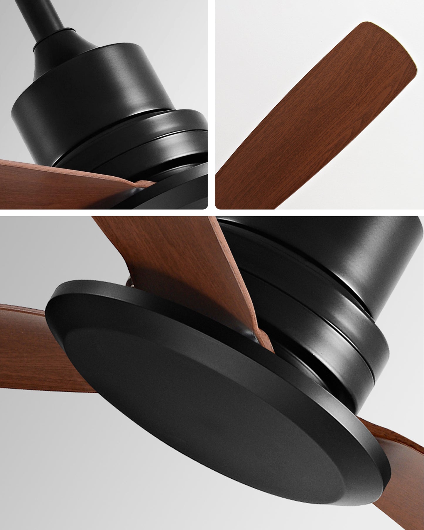 WOMO Modern Ceiling Fan - WM5231