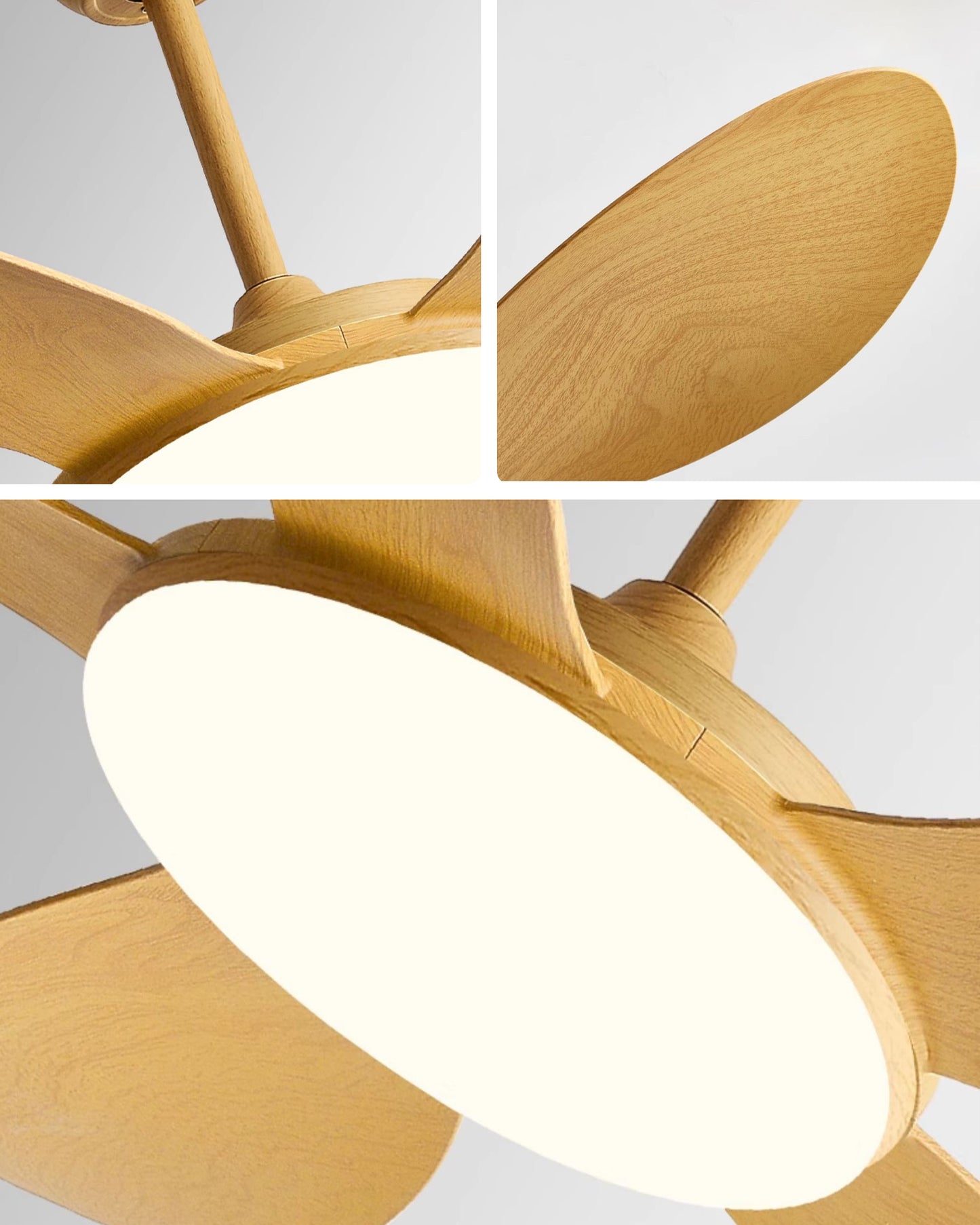 WOMO Modern Ceiling Fan Lamp - WM5192