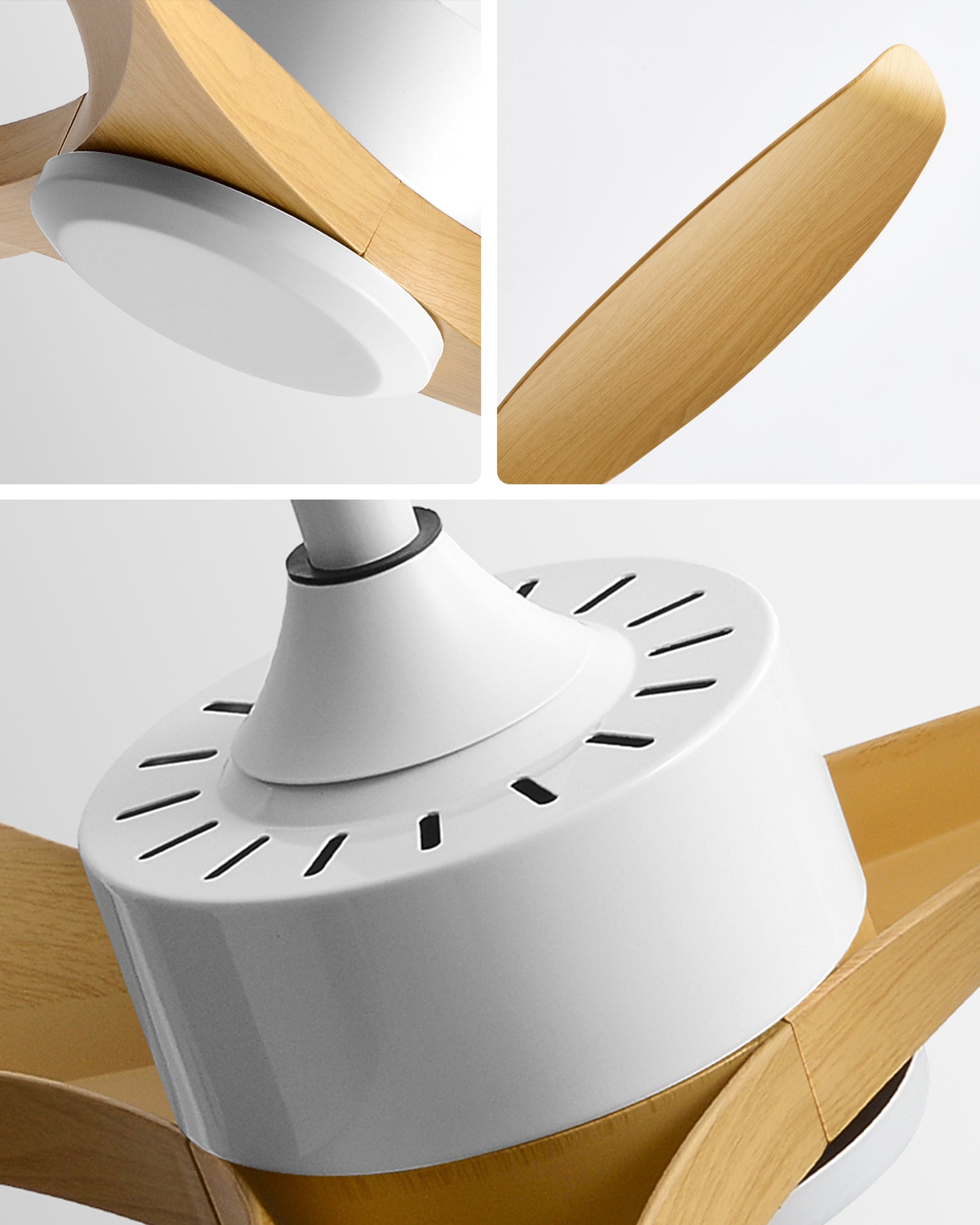 WOMO Modern Ceiling Fan - WM5203