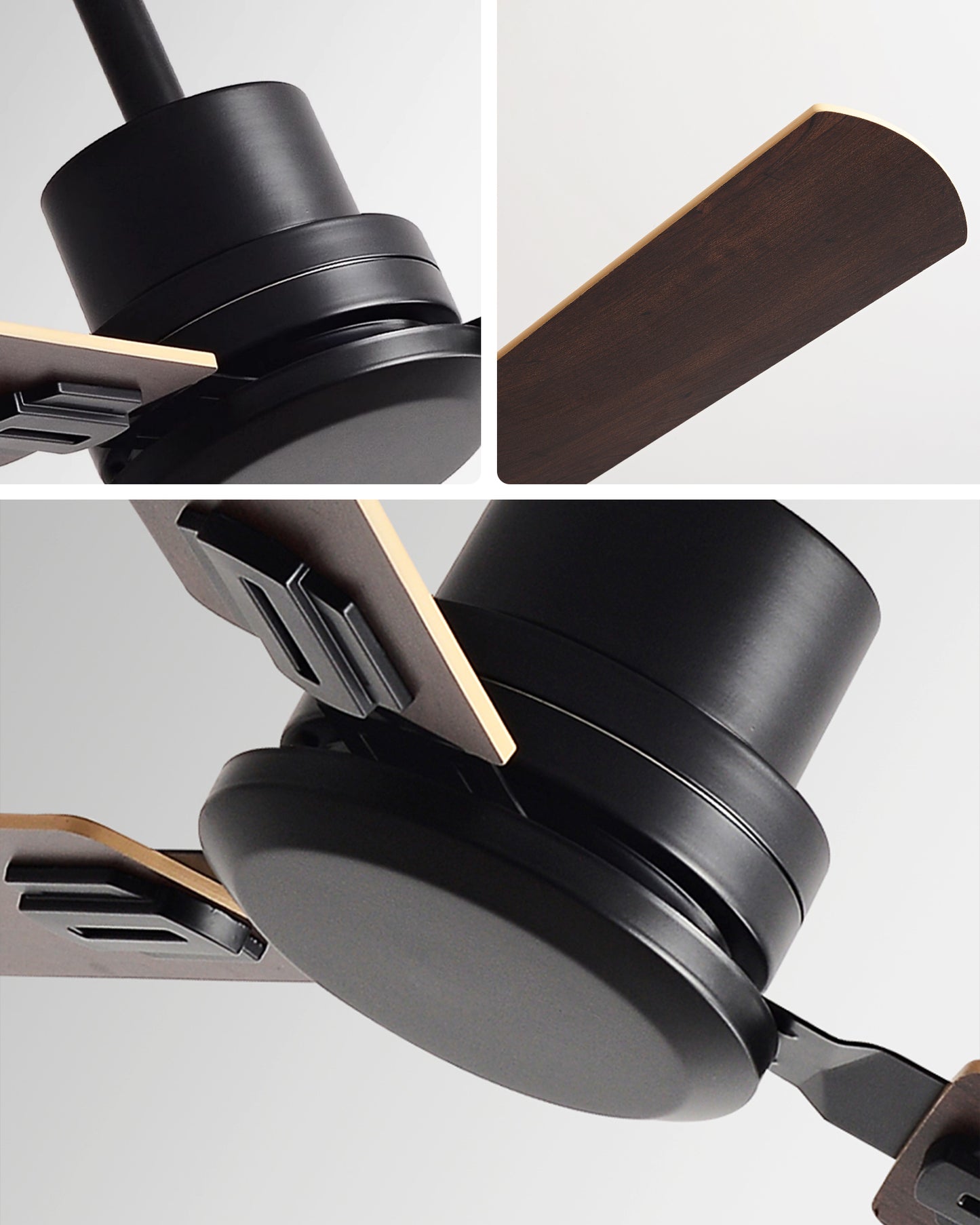 WOMO Modern Ceiling Fan - WM5232