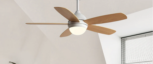 Standing Fans vs. Ceiling Fans: Which One Cools Your Space Better?