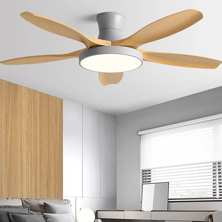 Vintage - Ceiling Fan Lamps