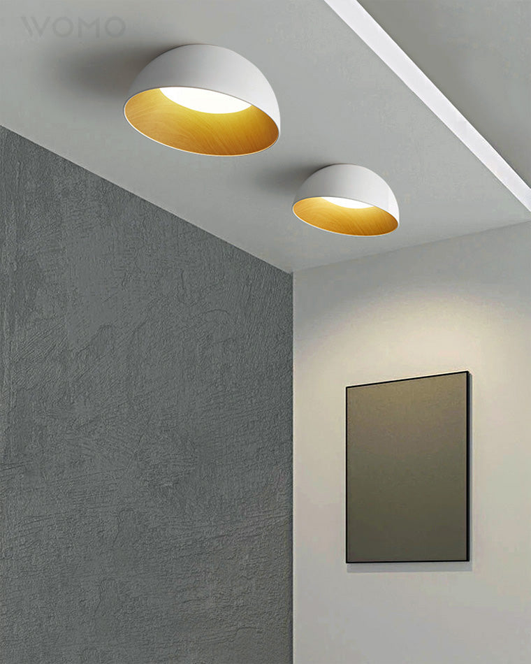 WOMO Dome Asymmetric Flush Mount Ceiling Light-WM1020