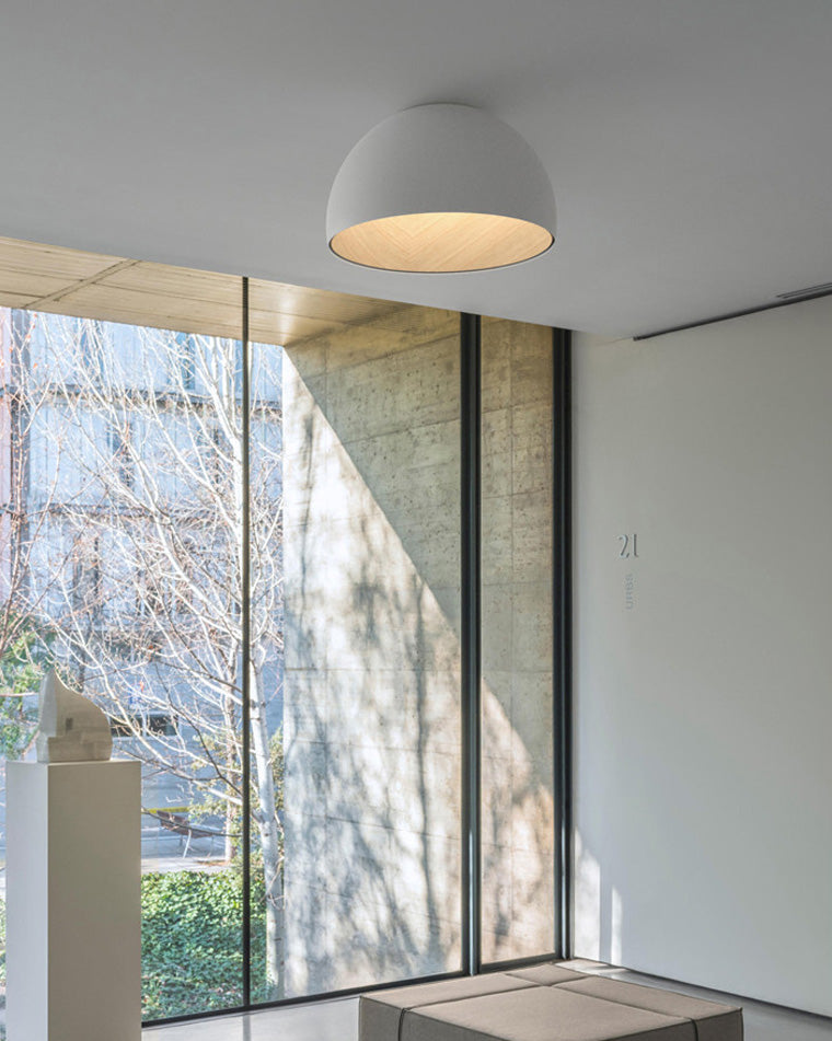WOMO Dome Asymmetric Flush Mount Ceiling Light-WM1020