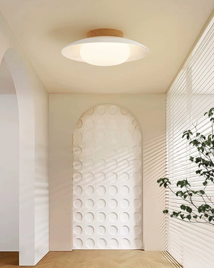 WOMO Dome Flush Mount Ceiling Light-WM1167