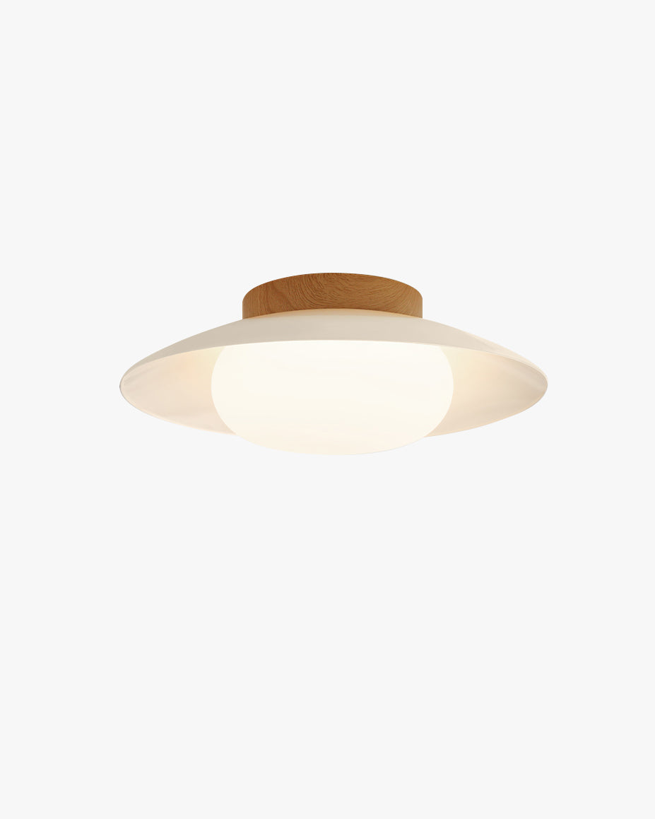 WOMO Dome Flush Mount Ceiling Light-WM1167