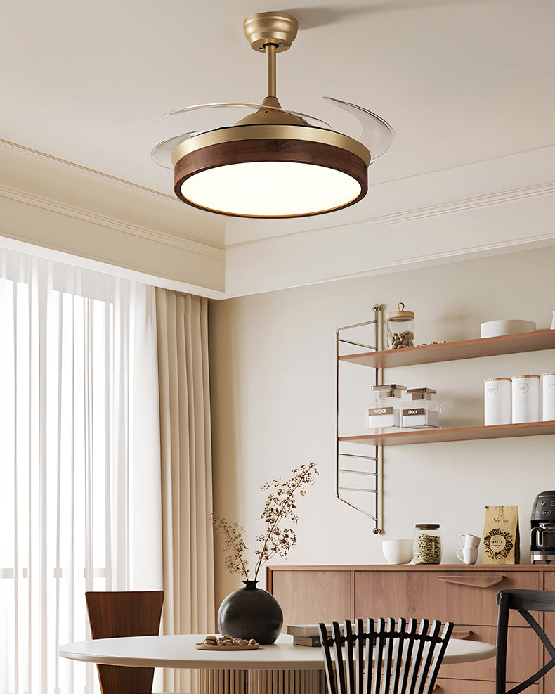 WOMO Retractable Blade Ceiling Fan Lamp - WM5265