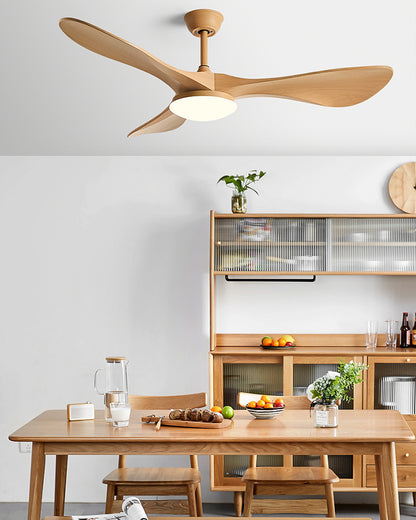 WOMO 52 Inch Modern Ceiling Fan Lamp-WM5224