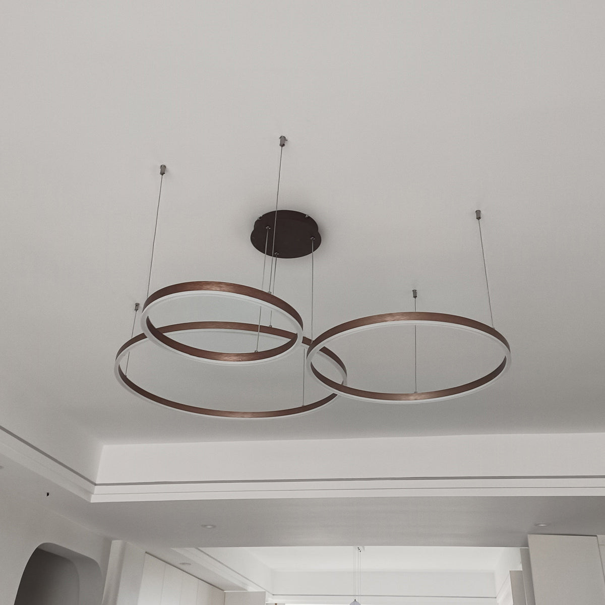 WOMO Living Room Pendant Lamp Chandelier Ring with Remote Control-WM2003