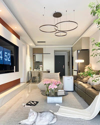 WOMO Living Room Pendant Lamp Chandelier Ring with Remote Control-WM2003