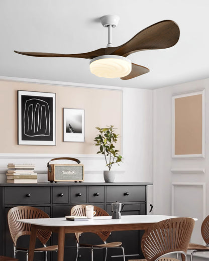 WOMO Modern Ceiling Fan With Bright Light - WM5256
