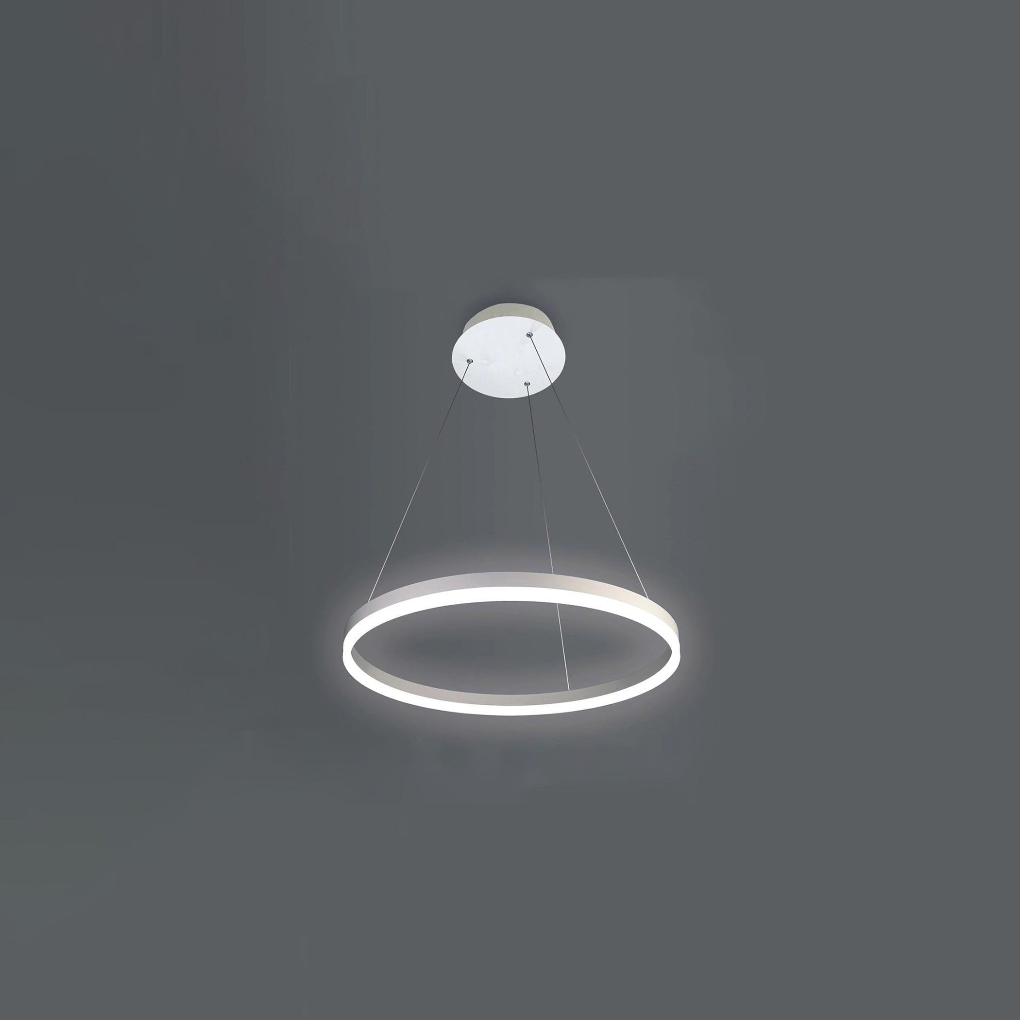 WOMO Ring LED Pendelleuchte-WM2030