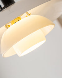 WOMO Danish Frosted Glass Pendant Light-WM2116