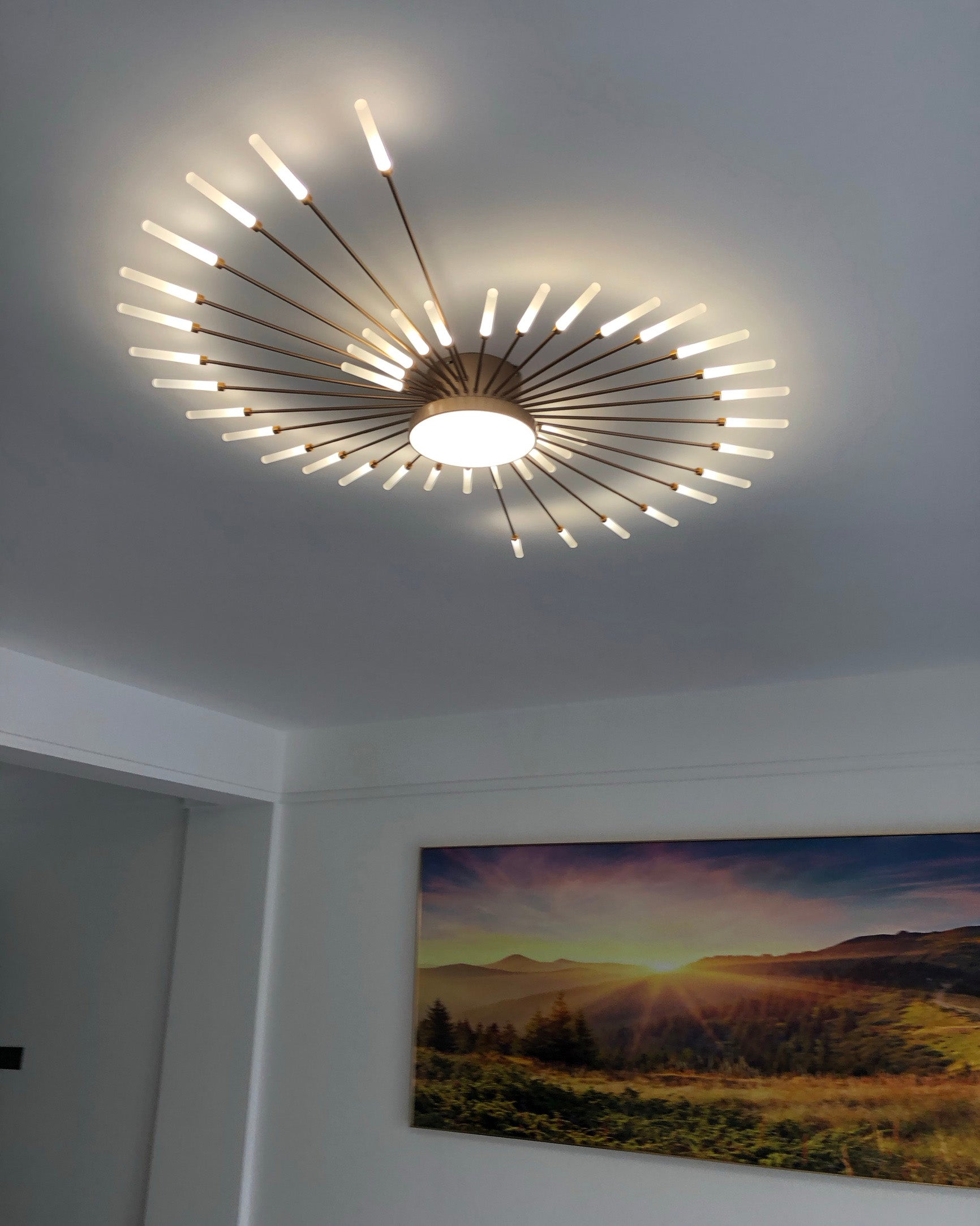 WOMO Sunbreak Ceiling Light-WM1001