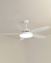 WOMO 5-Blade Ceiling Fan with Light - WM5101