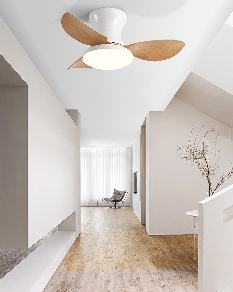 WOMO Small Ceiling Fan Lamp - WM5175