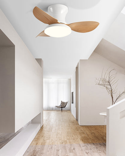 WOMO Small Ceiling Fan Lamp - WM5175