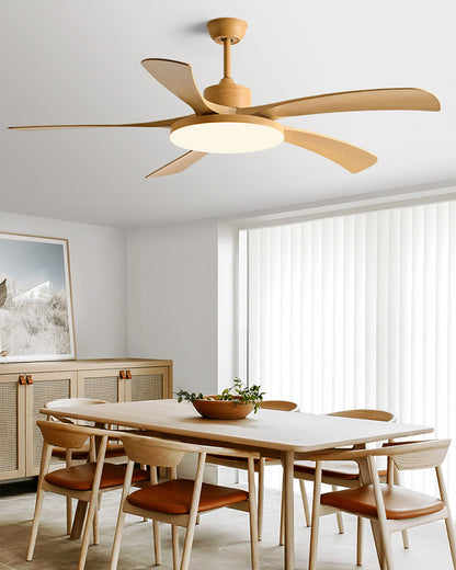 WOMO 60 inch Large Ceiling Fan Lamp - WM5179