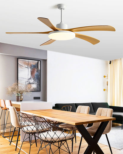 WOMO 60 inch Large Ceiling Fan Lamp - WM5179