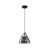 Suspension 3 lampes en verre fumé WOMO - WM2238