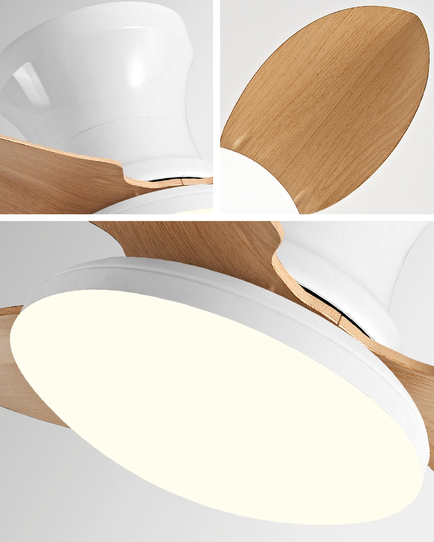 WOMO Small Ceiling Fan Lamp - WM5175