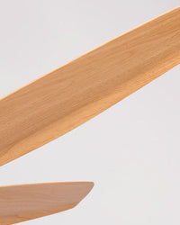 WOMO 5-Blade Ceiling Fan with Light - WM5101