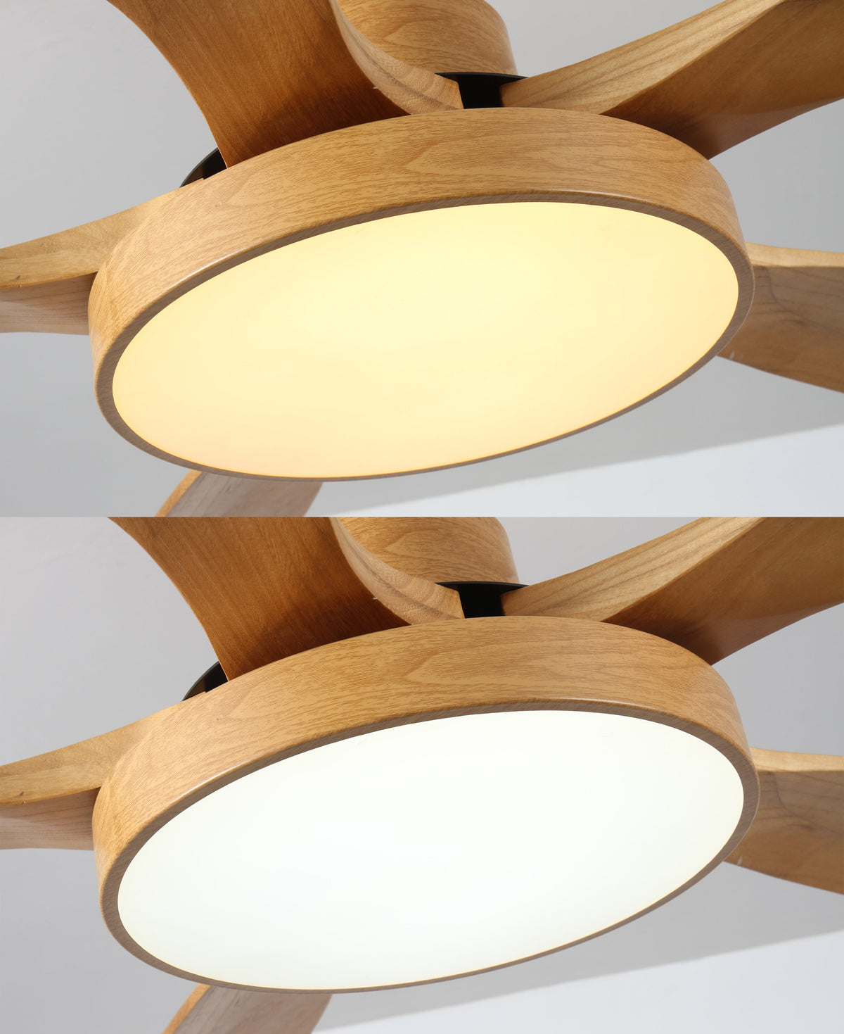 WOMO Scandi Ventilateur de plafond réversible avec lumière WM5002