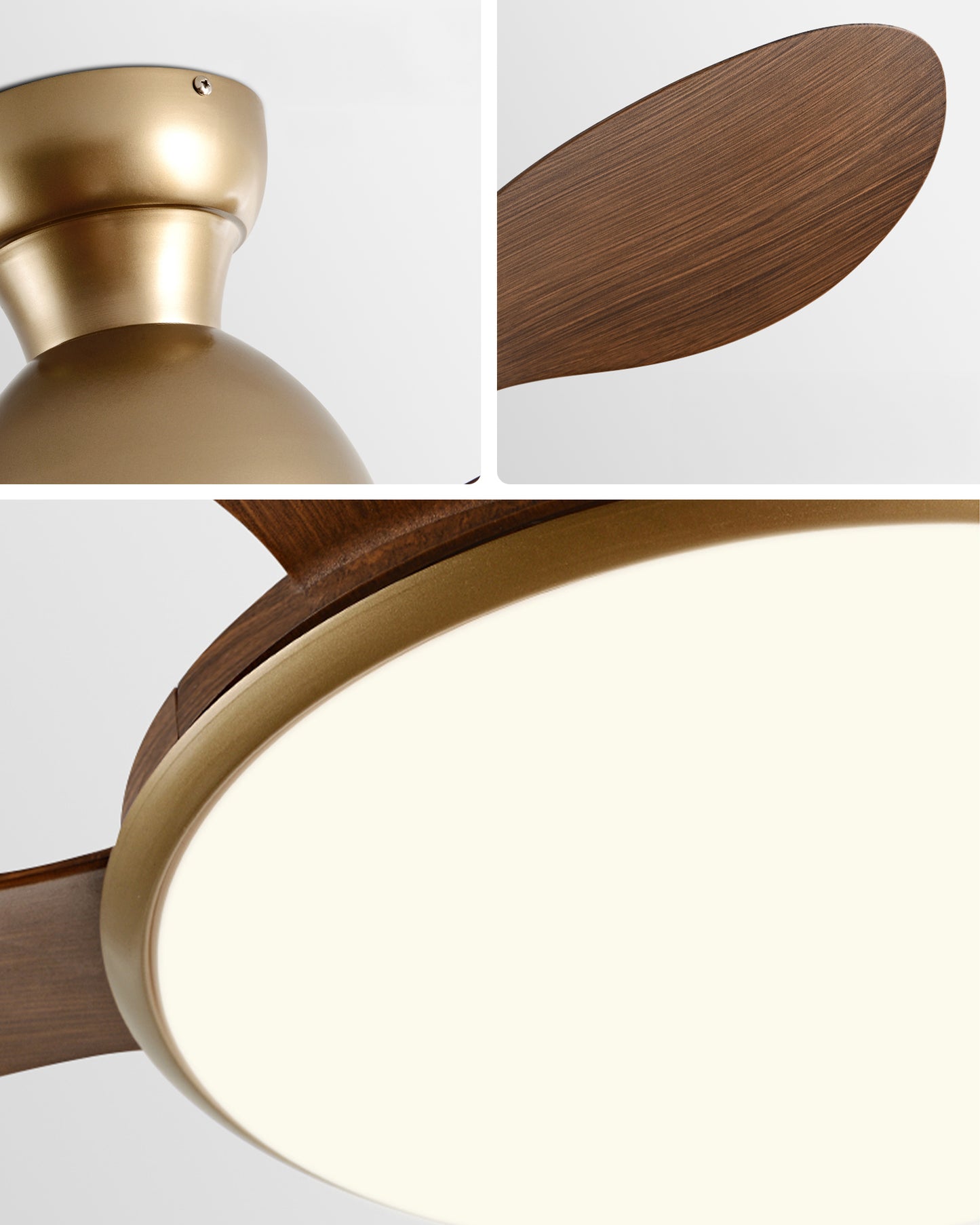 WOMO Low Profile Ceiling Fan Lamp- WM5164