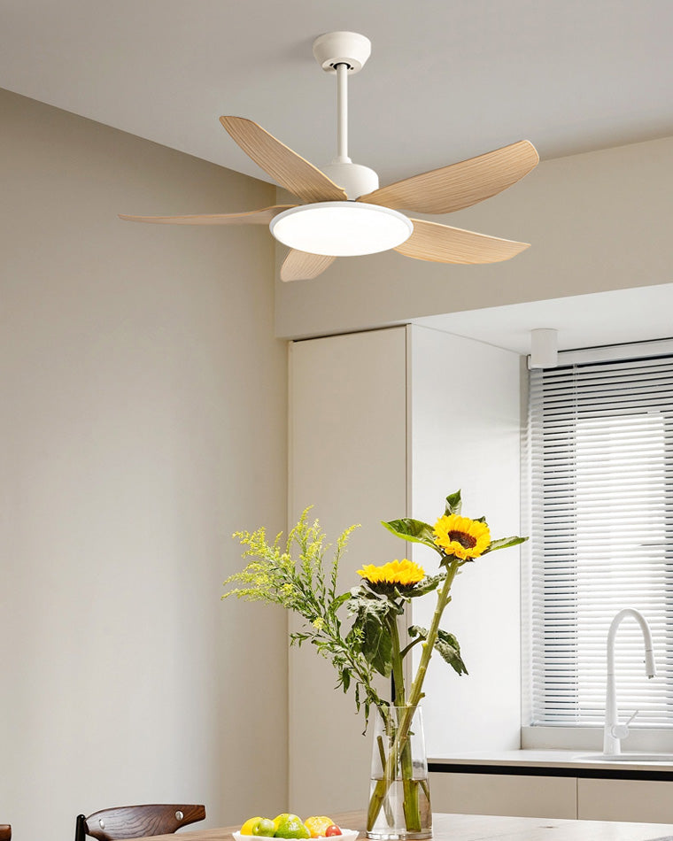 WOMO 42 Flache Deckenventilatorlampe-WM5020