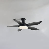 WOMO Flat, Modern Ceiling Fan Lamp-WM5062