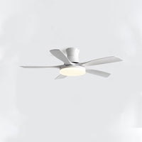 Plafonnier ventilateur 5 pales WOMO, moderne-WM5126