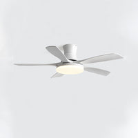 Plafonnier ventilateur 5 pales WOMO, moderne-WM5126