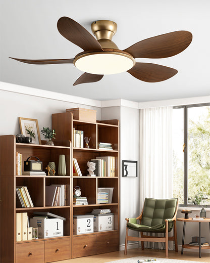 WOMO Low Profile Ceiling Fan Lamp- WM5164