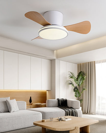 WOMO Small Low Profile Ceiling Fan Lamp - WM5166