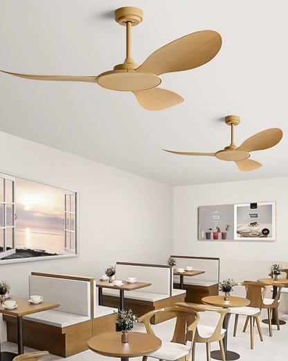 WOMO Modern Ceiling Fan - WM5168