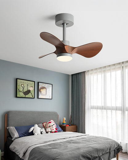 WOMO 24 inch Small Ceiling Fan Lamp- WM5172