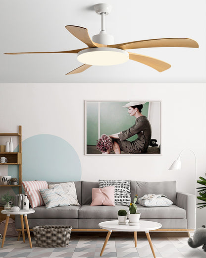 WOMO 60 inch Large Ceiling Fan Lamp - WM5179